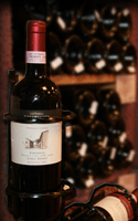Wein